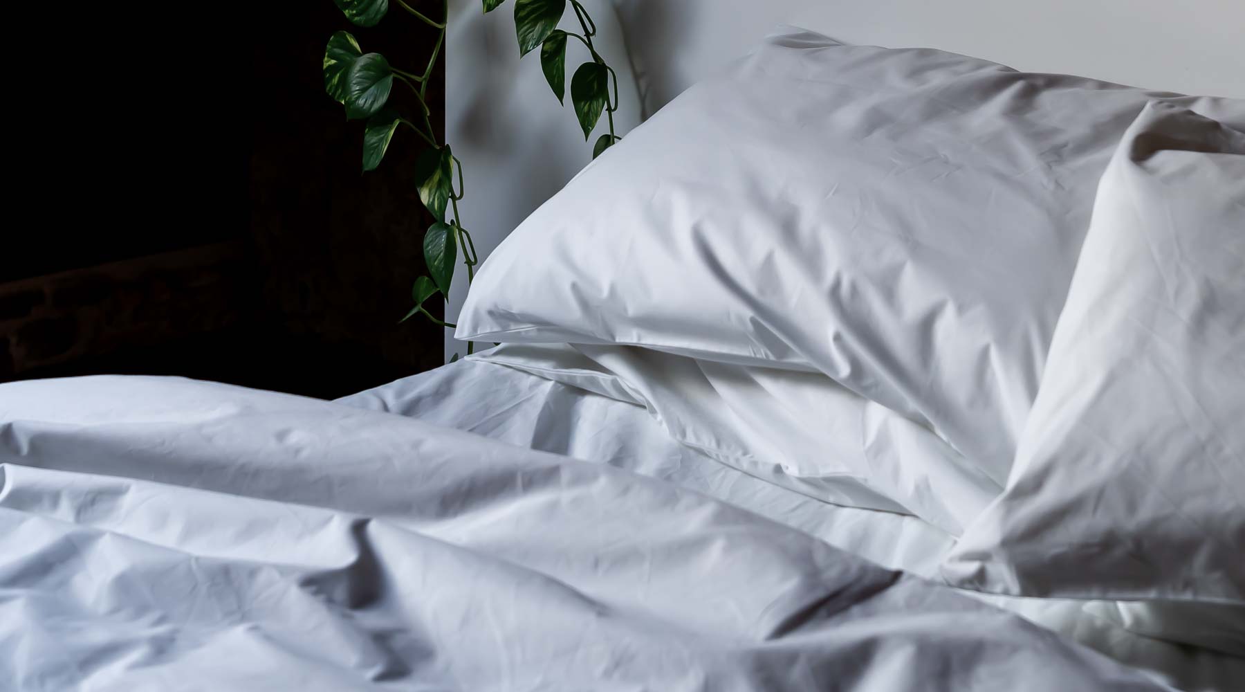 crisp heavy cotton bed sheets australia