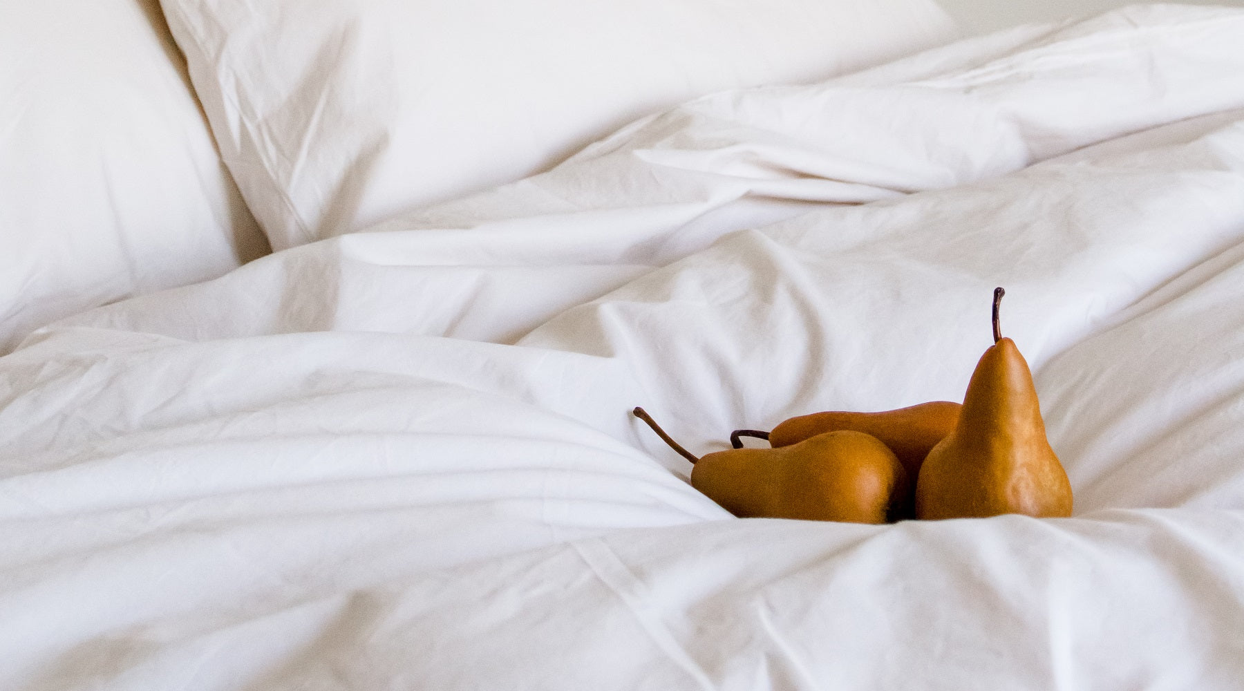 Cotton Percale Bedding in Sand